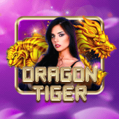 Dragon Tiger windream link live casino
